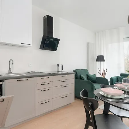 Apartment Spacious With Balcony By Rent Like